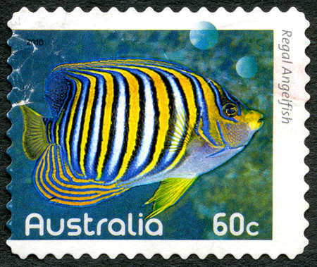 AUSTRALIA - CIRCA 2010: A used postage stamp from Australia, depicting an image of a Regal Angelfish, circa 2010.のeditorial素材