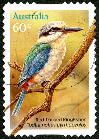 AUSTRALIA - CIRCA 2010: A used postage stamp from Australia, depicting an illustration of a Red-Backed Kingfisher bird, circa 2010.のeditorial素材