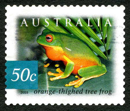 AUSTRALIA - CIRCA 2003: A used postage stamp from Australia, depicting an image of an Orange Thighed Tree Frog, circa 2003.のeditorial素材