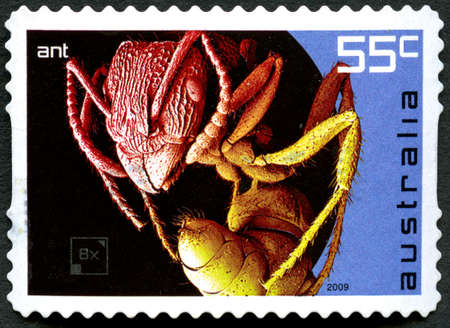 AUSTRALIA - CIRCA 2009: A used postage stamp from Australia, depicting an illustration of an Ant, circa 2009.のeditorial素材