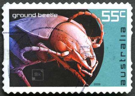 AUSTRALIA - CIRCA 2009: A used postage stamp from Australia, depicting an illustration of a Ground...