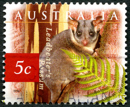 AUSTRALIA - CIRCA 1996: A used postage stamp from Australia, depicting an illustration of a Leadbeaters Possum, circa 1996.のeditorial素材