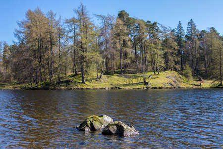 The picturesque scenery of Tarn Hows in the Lake District in Cumbria, UK.の写真素材