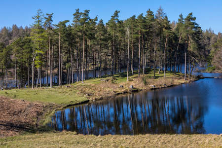 The picturesque scenery of Tarn Hows in the Lake District in Cumbria, UK.の写真素材
