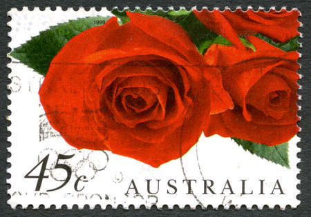 AUSTRALIA - CIRCA 1999: A used postage stamp from Australia, depicting an image of red Roses, circa 1999.のeditorial素材