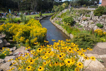 BOURNEMOUTH, UK - AUGUST 17TH 2017: A viewwild flowers in the Pavilion Gardens in the seaside town of Bournemouth in Dorset, on 17th August 2017.のeditorial素材