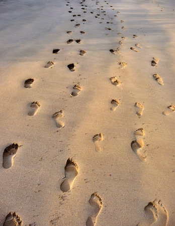 Close up of footprints in the sand on pristine Galapagos islands beach. High quality photoの写真素材