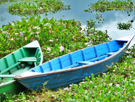 Close up pretty green rowing boat and blue, on lake,Pokhara, Nepalの写真素材