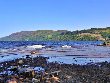 Banks of Loch Ness, Scottish Highlands, Scotlandの写真素材