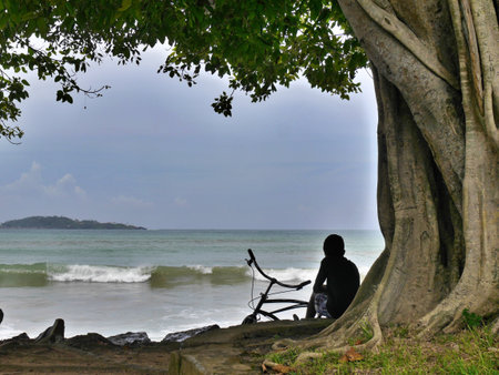 Young boy sitting with bike under a tree on beach, Sri Lanka. High quality photoの写真素材