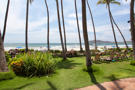 Tropical beach の写真素材