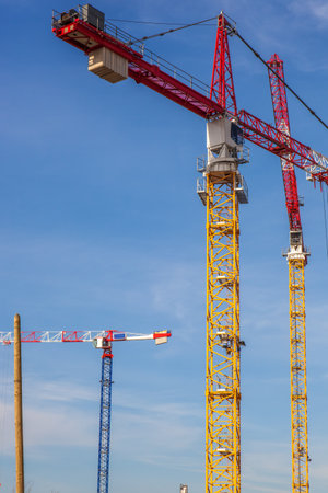 Cranes fight with a blue sky background の写真素材