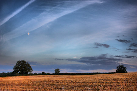 Dusk over a fieldの写真素材