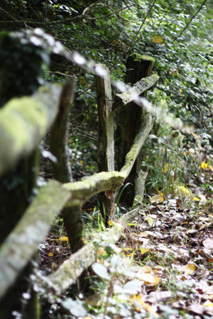 wooden fenceの写真素材