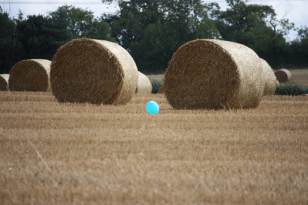hay bales
