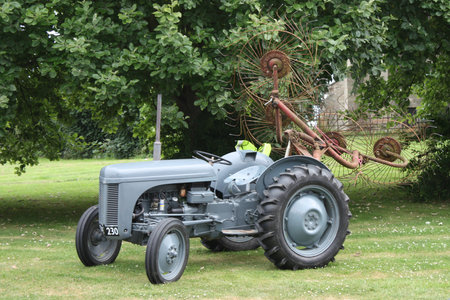 Little grey fergie vintage tractorの写真素材