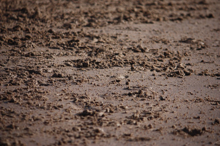 sand on a beachの写真素材