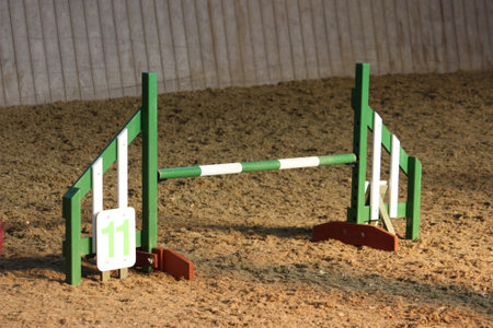 green and white Dog agility jumpの写真素材