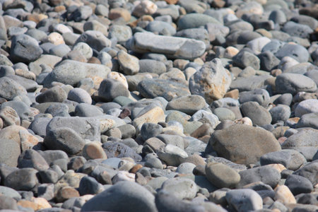 stones and roccks on a sandy beach backgroundの写真素材