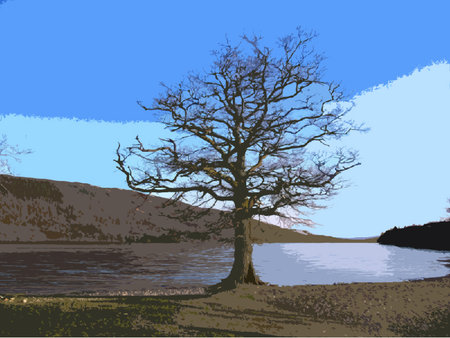 a tree in front of a calm coniston waterのイラスト素材