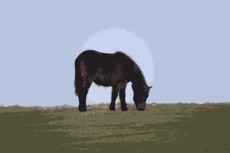 Exmoor pony out in the wildのイラスト素材