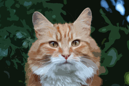 Beautiful long haired ginger catのイラスト素材