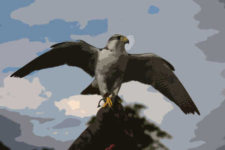 A beautiful white arctic hawk raptor birdのイラスト素材