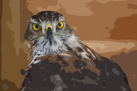 portrait of a magnificent raptorのイラスト素材