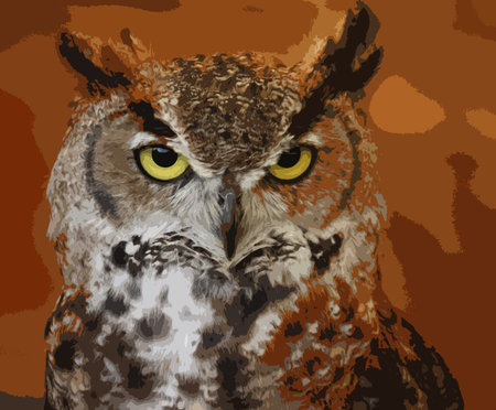 portrait of a crowned african eagle owlのイラスト素材