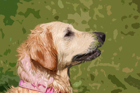 a beautiful golden retriever pet gundogのイラスト素材