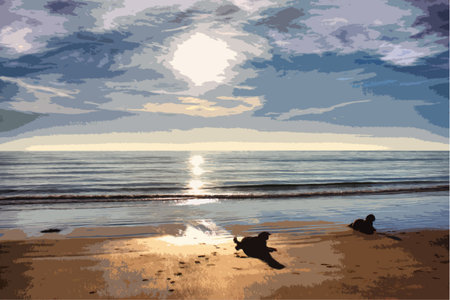 Working type springer spaniel pet gundog lying on a sandy beach at sunsetのイラスト素材