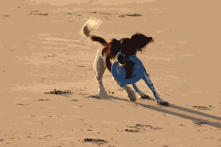 Working type english springer spaniel pet gundog running on a sandy beach;のイラスト素材