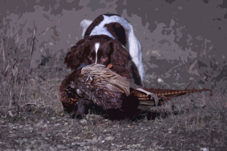 working type english springer spaniel carrying a pheasantのイラスト素材