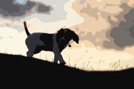 very cute liver and white working type english springer spaniel pet gundog puppyのイラスト素材