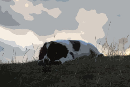 very cute liver and white working type english springer spaniel pet gundog puppyのイラスト素材