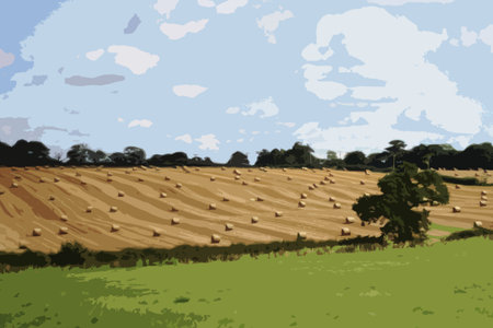 large round bales in rural farmlandのイラスト素材