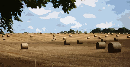 large round bales in rural farmlandのイラスト素材