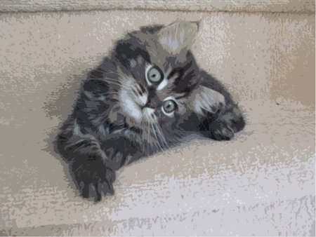 Very handsome cute long haired brown kittenのイラスト素材