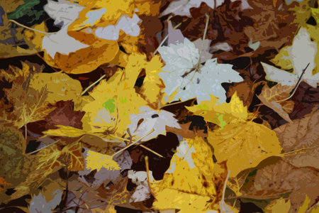 yellow and white maple leaves on the ground at batsford arboretumのイラスト素材