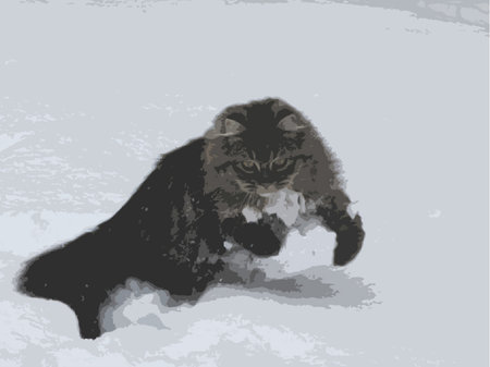 cute long haired tabby pussycat playing in the snowのイラスト素材