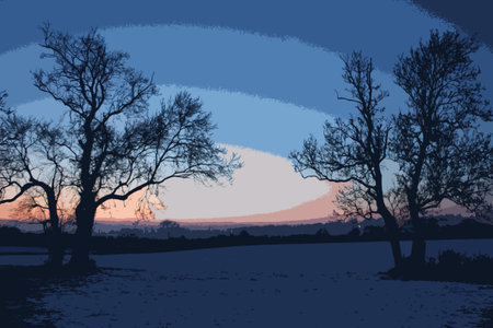 trees in winter at dusk covered in snowのイラスト素材