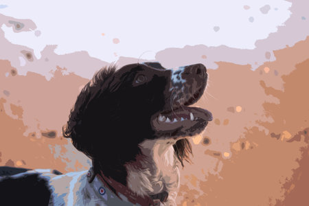 cute working type english springer spaniel pet gundog on a sandy beachのイラスト素材