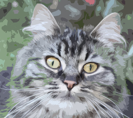 Very handsome cute long haired brown kittenのイラスト素材