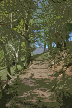 trees lining a woodland pathのイラスト素材