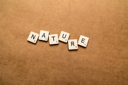 LONDON, UK - May 24 2019: The word NATURE spelt with wooden letter tiles over a brown textured backgroundのeditorial素材