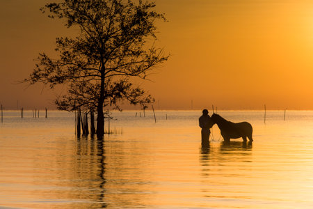 a Tender Moment during sunset between man and his horseの写真素材