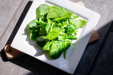 Power greens salad on plate in the sun