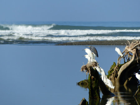 Sea Sceneryの写真素材