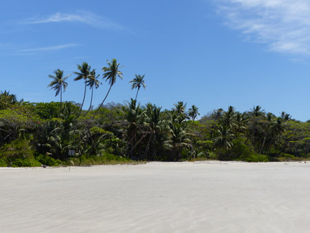 tropical beachの写真素材