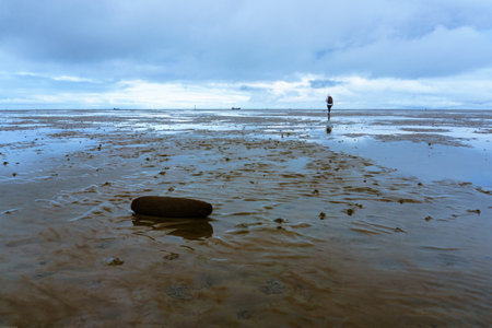 Ebb tide National park wadden sea Lower saxony Germany, Europeの写真素材